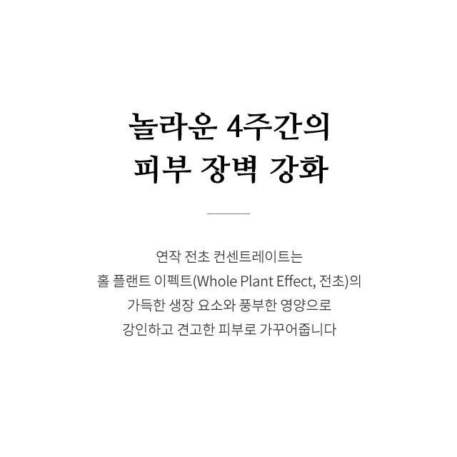 놀라운 4주간의 피부 장벽 강화 연작 전초 컨센트레이트는 홀 플랜트 이펙트(Whole plant effect, 전초)의 가득한 생장 요소와 풍부한 영양으로 강인하고 견고한 피부로 가꾸어줍니다